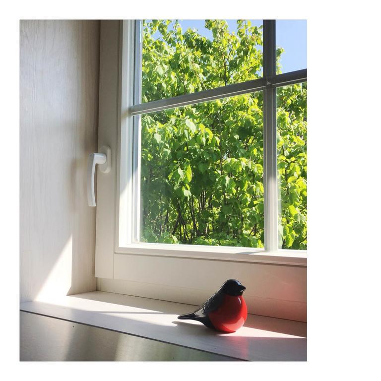 PāvilostaCardinalis Houseアパートメント エクステリア 写真