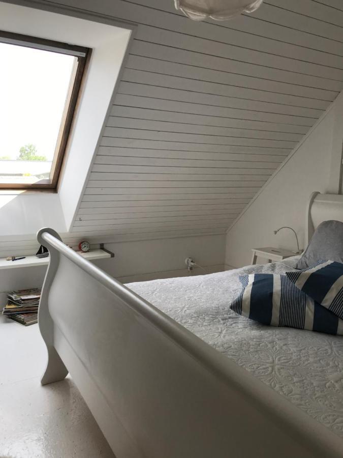PāvilostaCardinalis Houseアパートメント エクステリア 写真